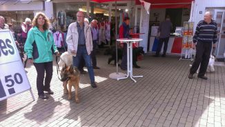 Husum