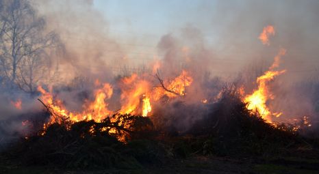 Osterfeuer Pinneberg 1
